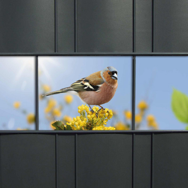 Sichtschutzstreifen mit verschiedenen Gartenvögeln für den Gartenzaun