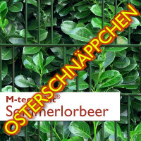 M-tec print® Weich-PVC - Sommerlorbeer
