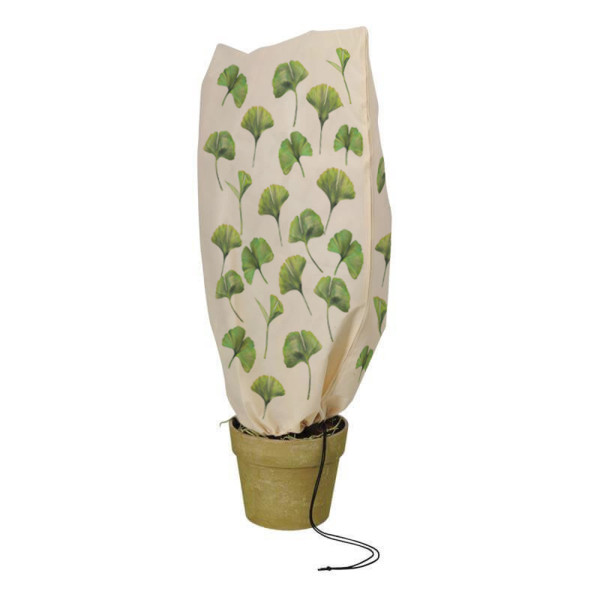 Ginkgo Winterschutzhaube
