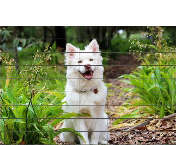 Bedrucktes Zaunposter Sichtschutz Motiv Hundewelpe 9 Streifen